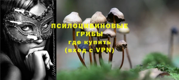 мдпв Балабаново
