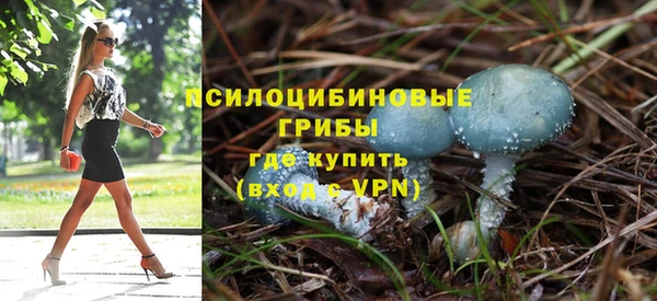 мдпв Балабаново