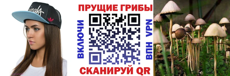 Галлюциногенные грибы мухоморы  купить   Пересвет 